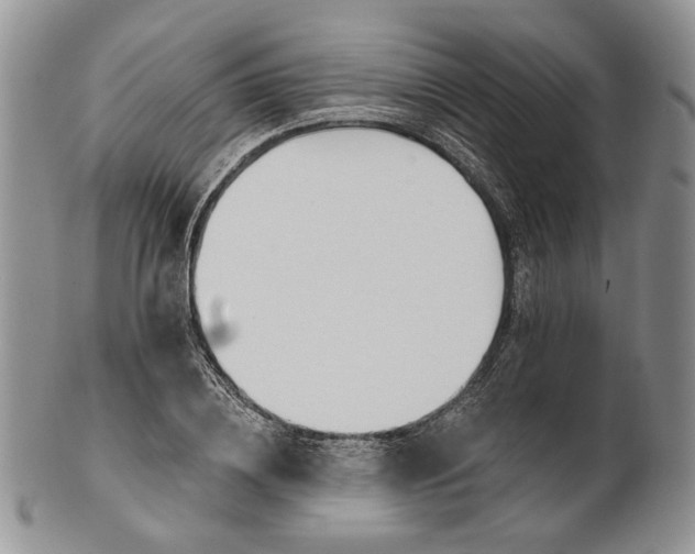 X0000100780836200807101814