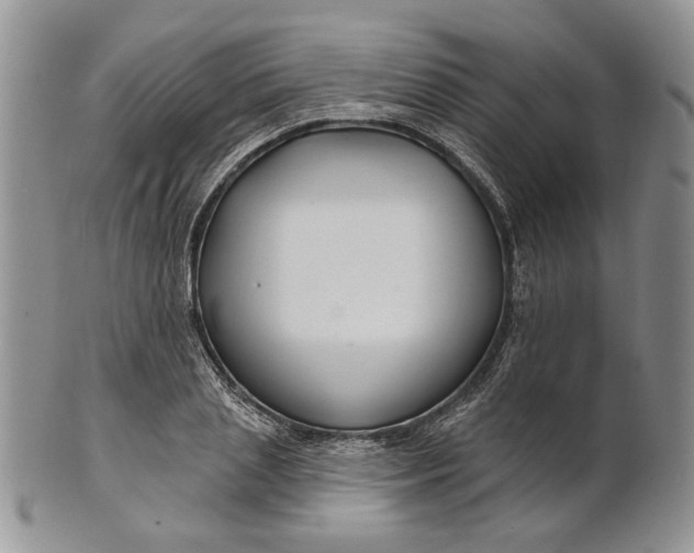 X0000100780837200807101815