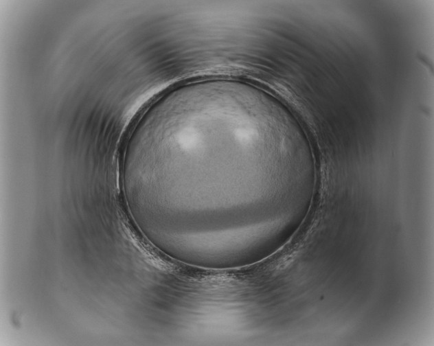 X0000100780838200807101815