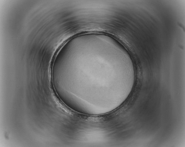 X0000100780840200807101815