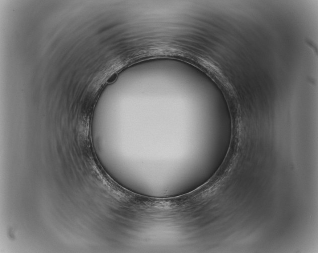 X0000100780841200807101815