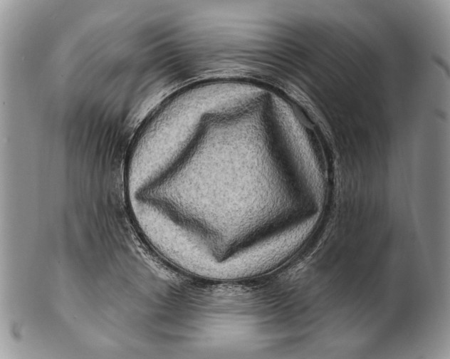 X0000100780842200807101815