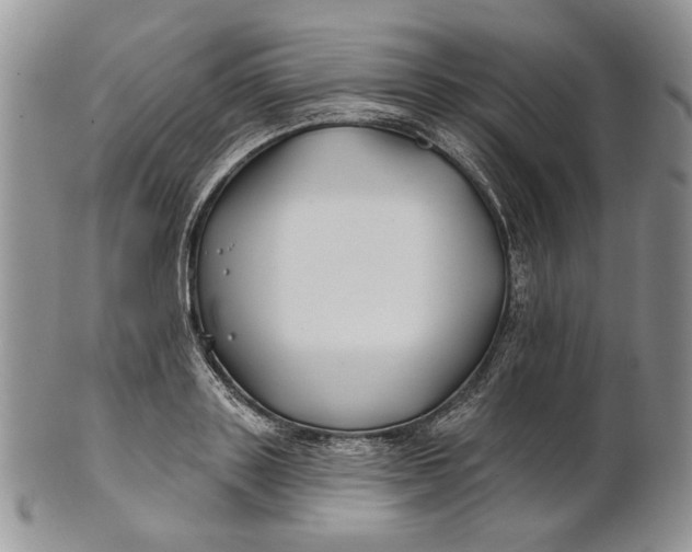 X0000100780843200807101815