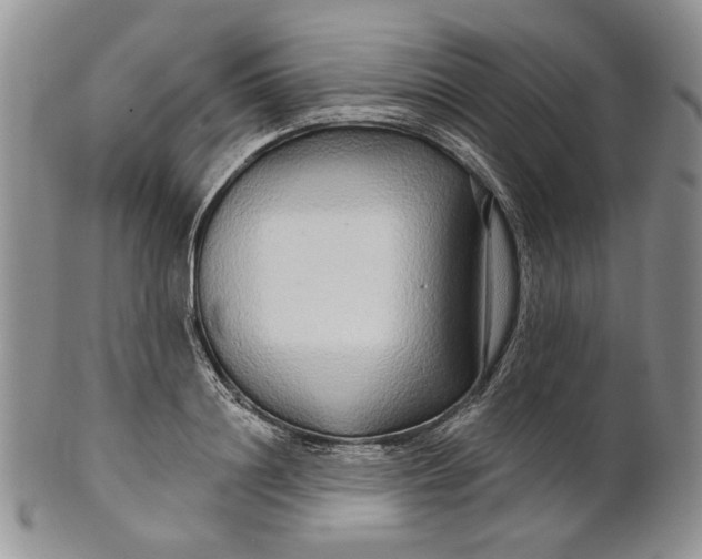 X0000100780844200807101815