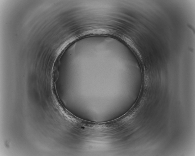 X0000100780845200807101815