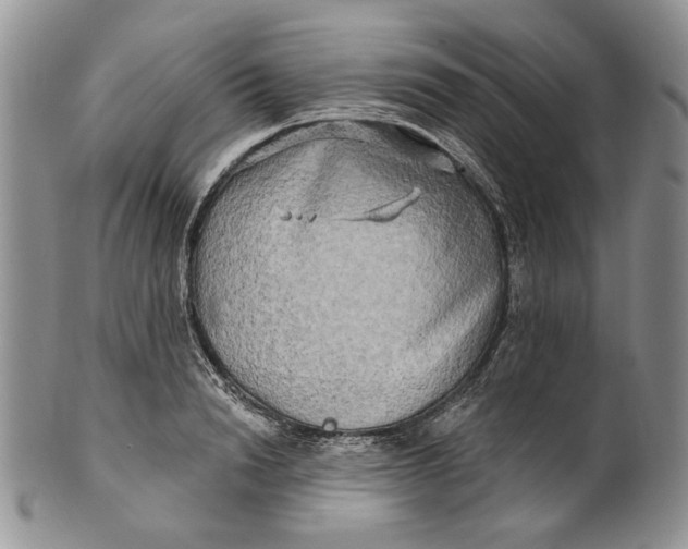 X0000100780846200807101815