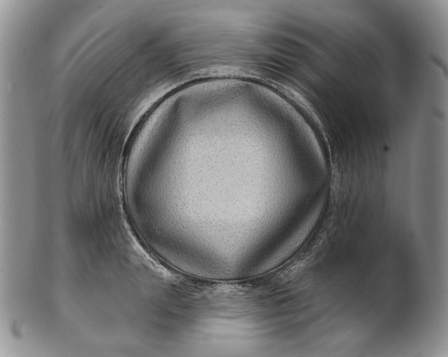 X0000100780847200807101815