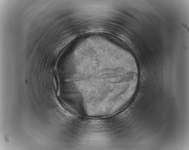 X0000100780849200807101815