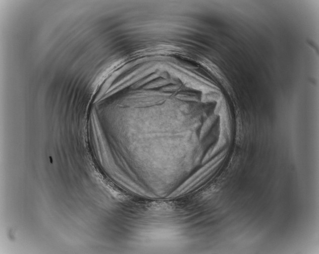 X0000100780850200807101815