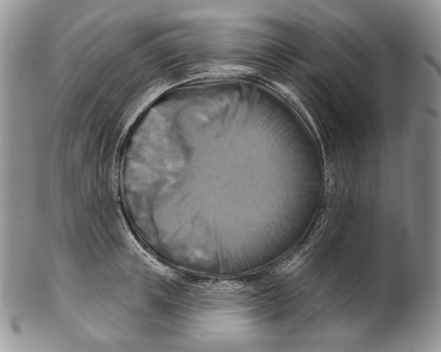 X0000100780851200807101815