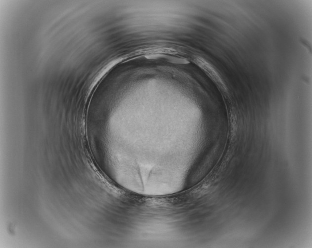 X0000100780852200807101815