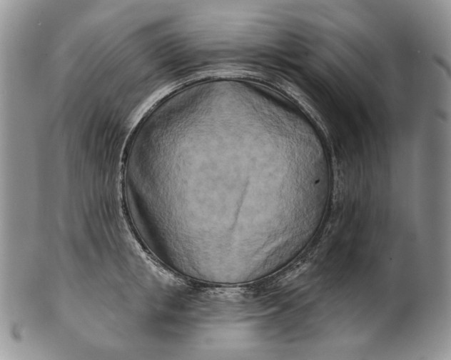 X0000100780853200807101815