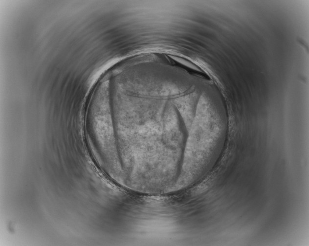 X0000100780854200807101815