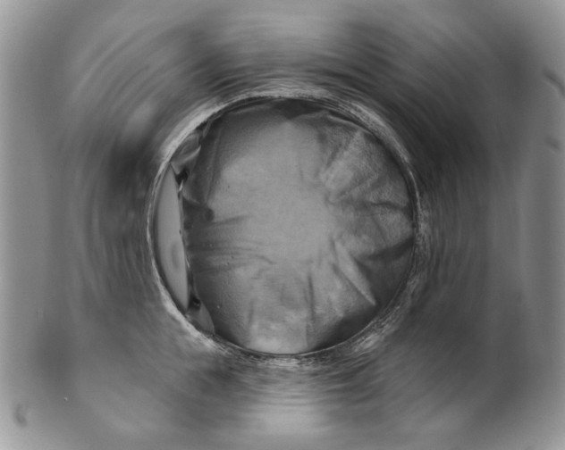 X0000100780855200807101815