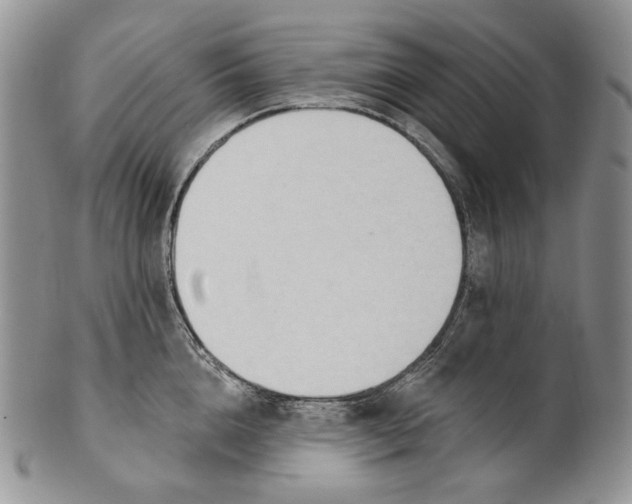 X0000100780856200807101815