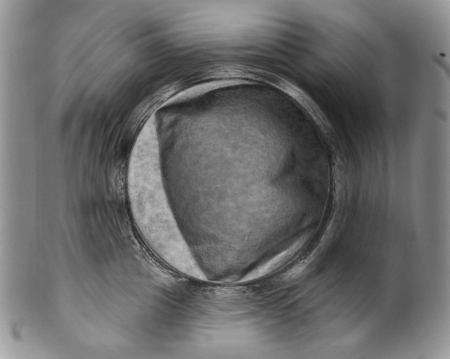 X0000100780857200807101815