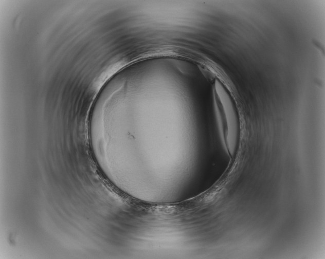 X0000100780858200807101815