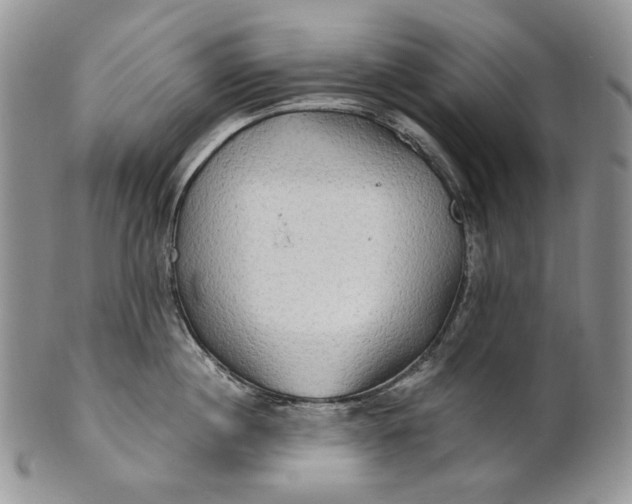 X0000100780860200807101815