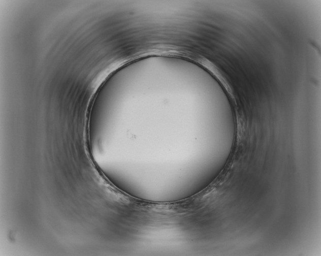 X0000100780861200807101815