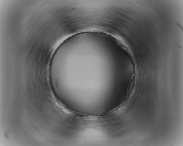 X0000100780862200807101815