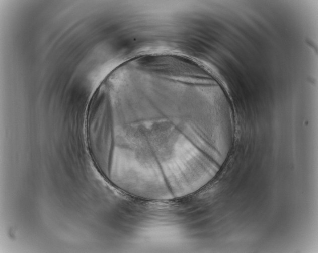 X0000100780863200807101815