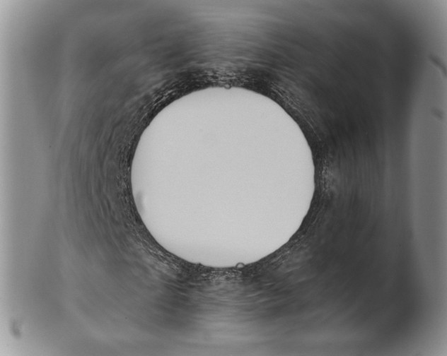 X0000100780865200807101814