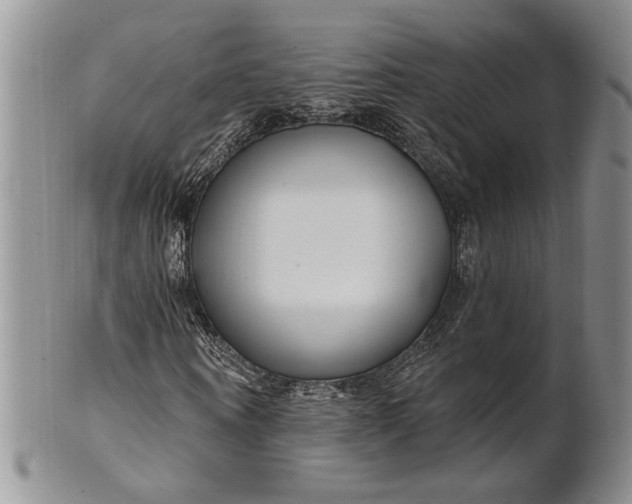 X0000100780866200807101814