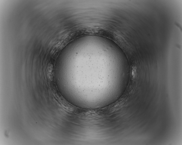 X0000100780867200807101814