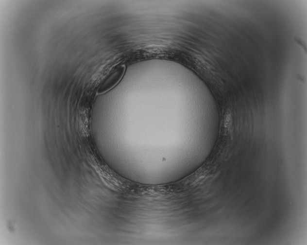 X0000100780868200807101814