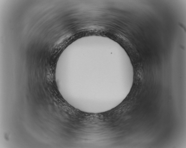 X0000100780869200807101814