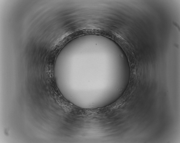 X0000100780870200807101814