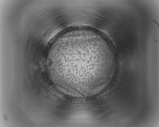 X0000100780871200807101814