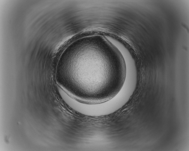 X0000100780872200807101814