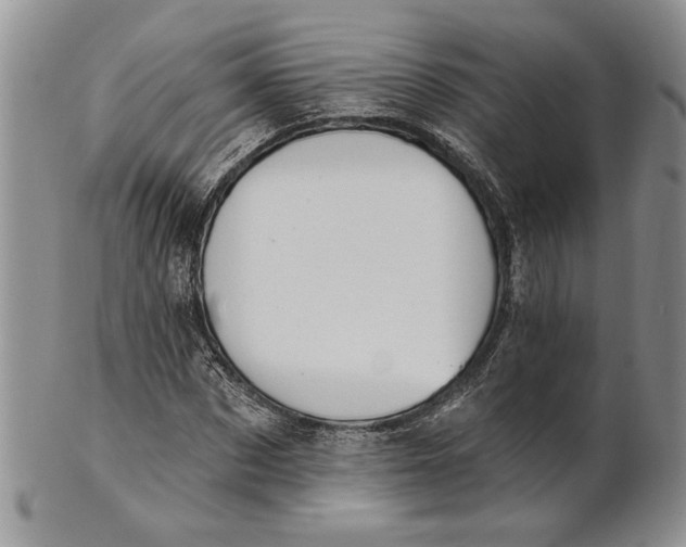 X0000100780873200807101814