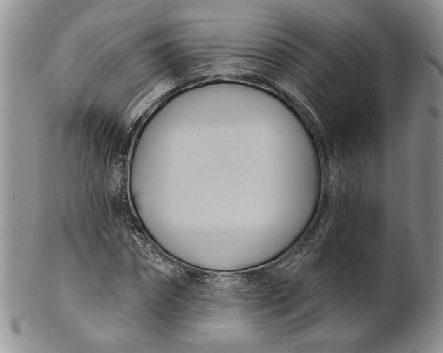 X0000100780874200807101814