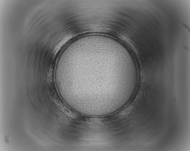 X0000100780875200807101814