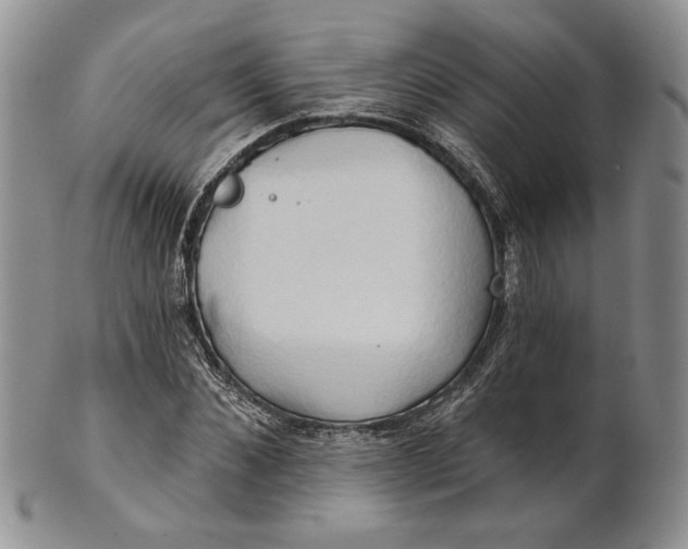 X0000100780876200807101814