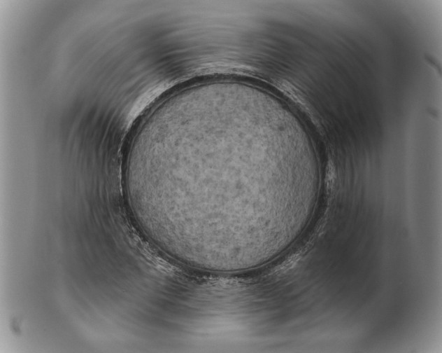 X0000100780877200807101814