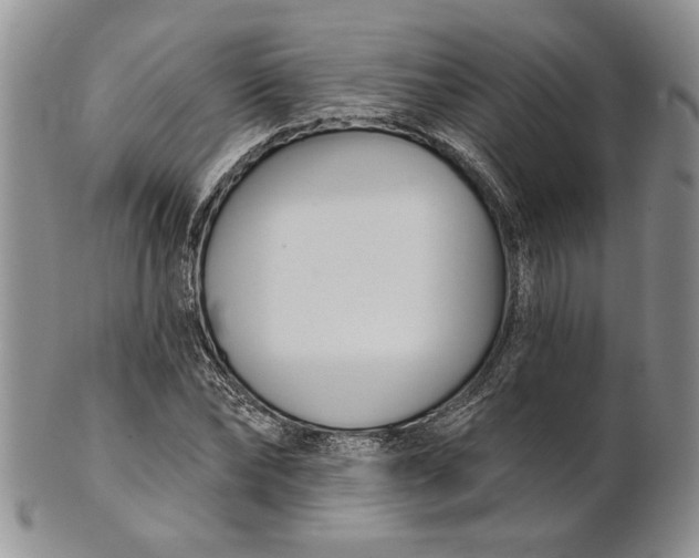 X0000100780878200807101814