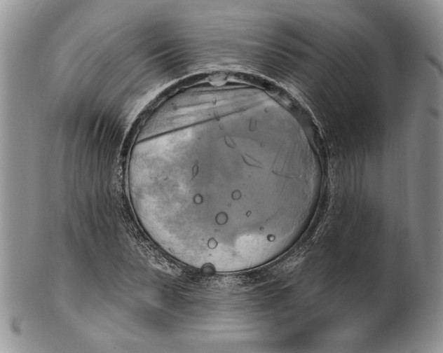 X0000100780879200807101814