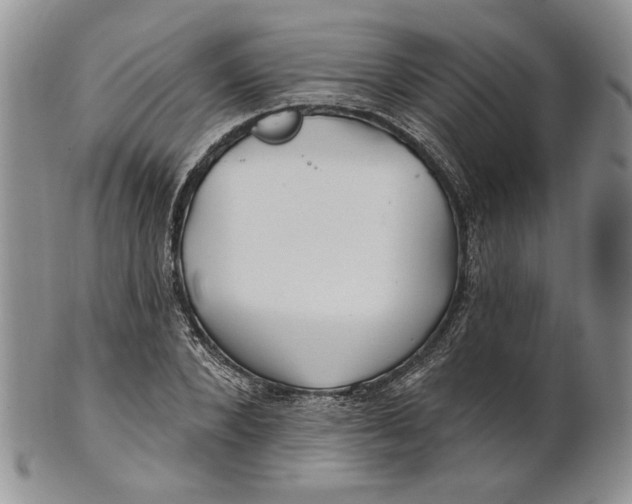 X0000100780880200807101814