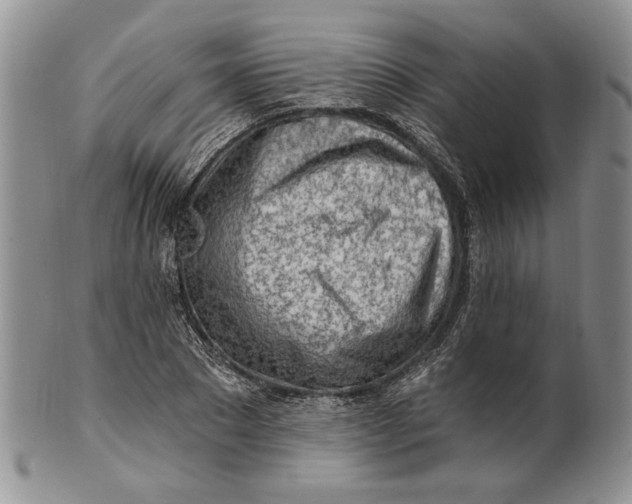 X0000100780881200807101814