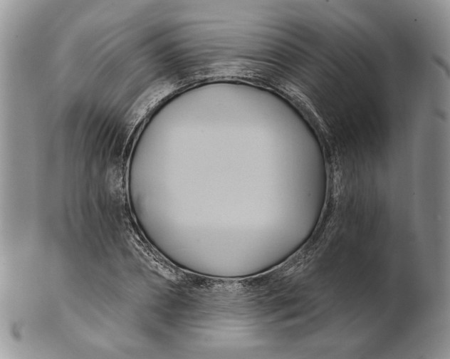 X0000100780882200807101814