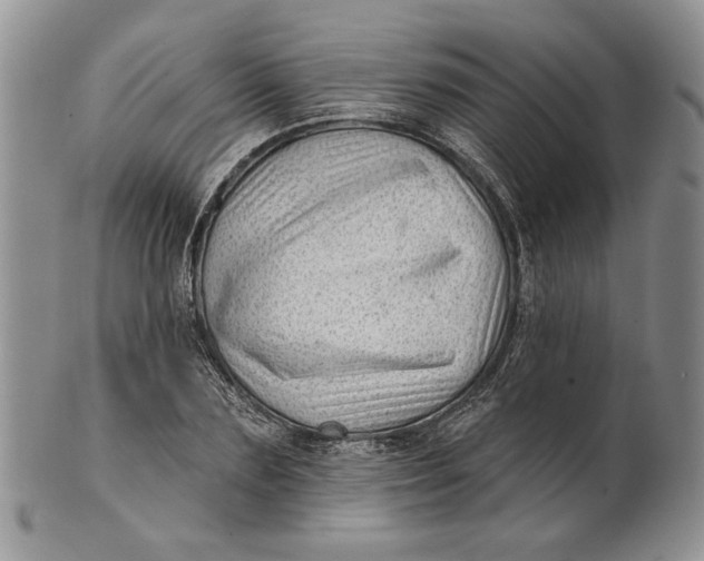 X0000100780883200807101814