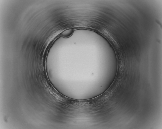 X0000100780884200807101814