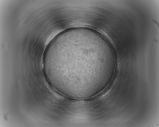 X0000100780885200807101814