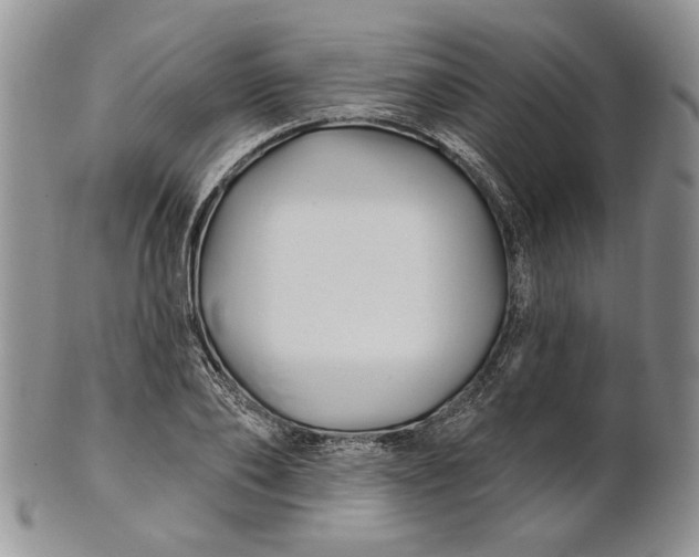 X0000100780886200807101814