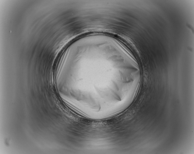 X0000100780887200807101814