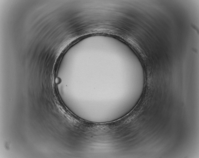 X0000100780888200807101814