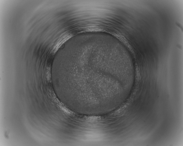 X0000100780889200807101814